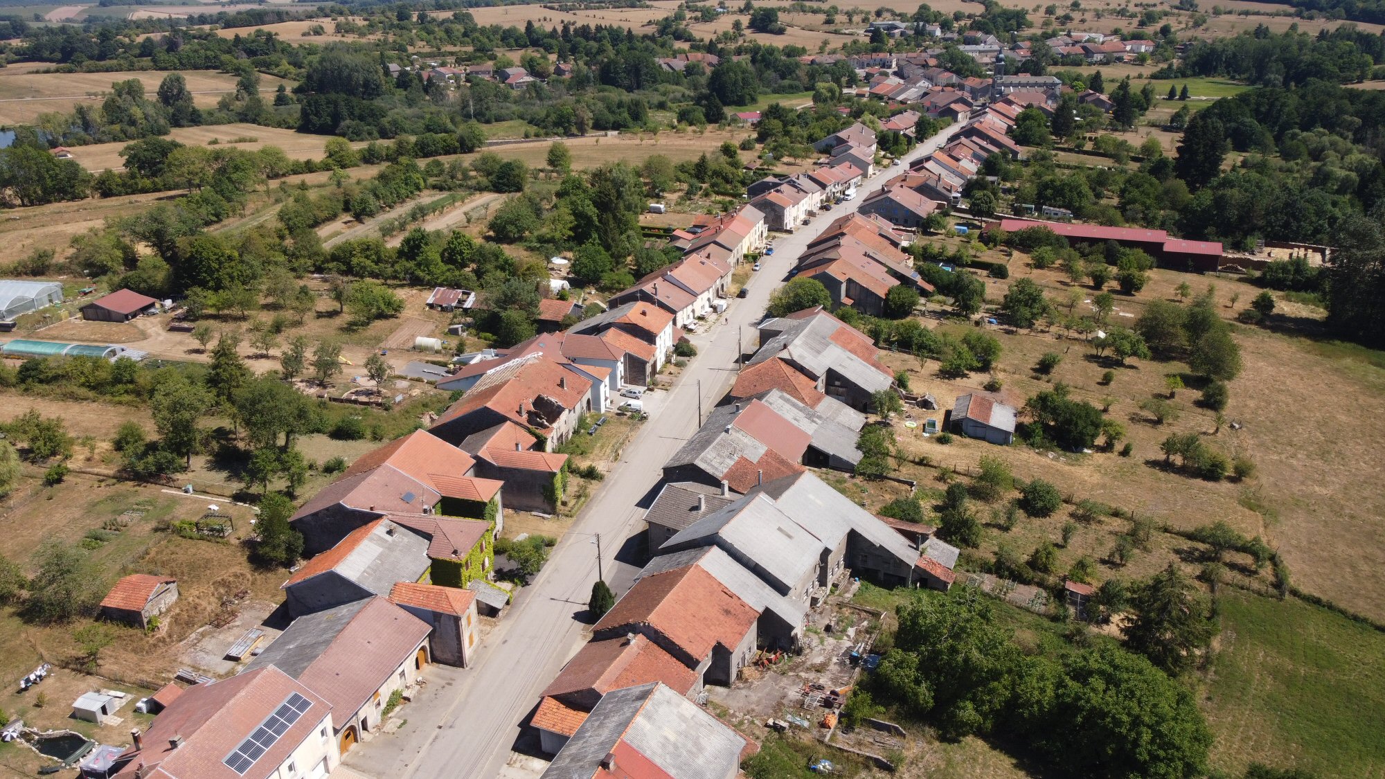 Vogezenzang