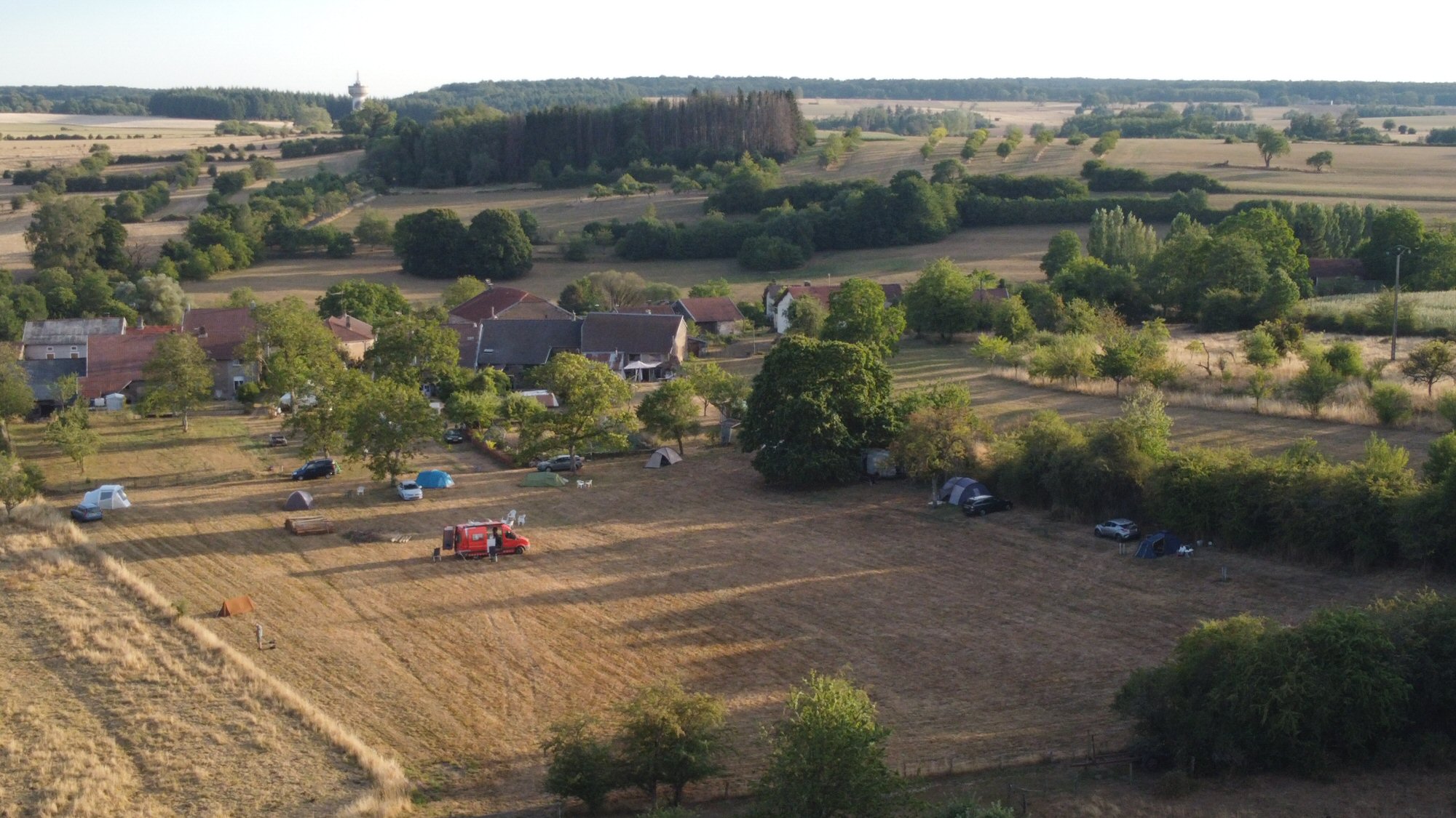 Vogezenzang